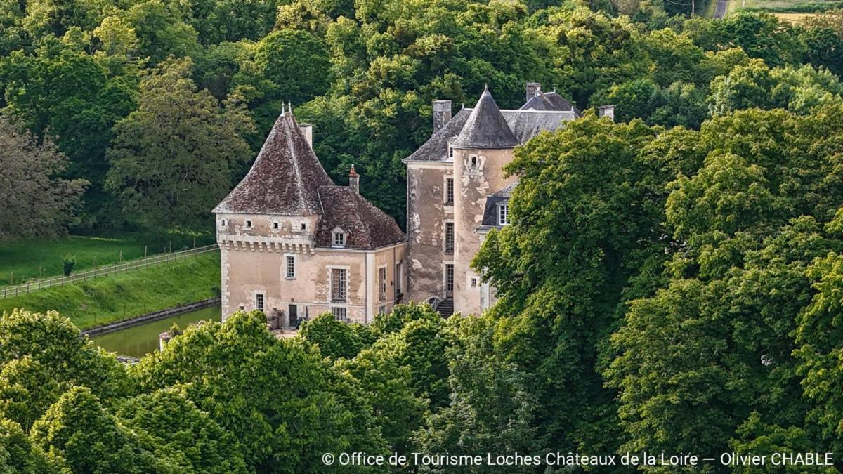 Отель Le Perroquet Bleu La Chapelle-Blanche-Saint-Martin Экстерьер фото