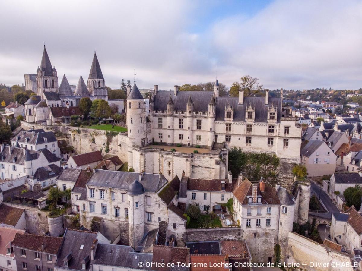 Отель Le Perroquet Bleu La Chapelle-Blanche-Saint-Martin Экстерьер фото